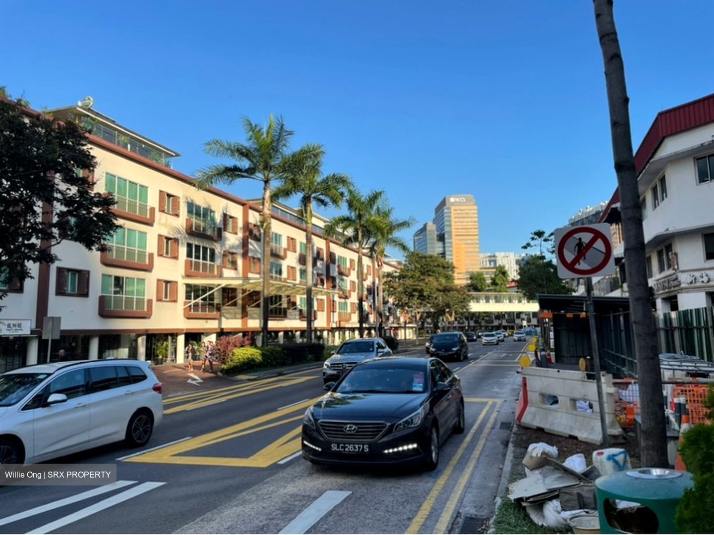Tiong Bahru Road (D3), Shop House #596332031